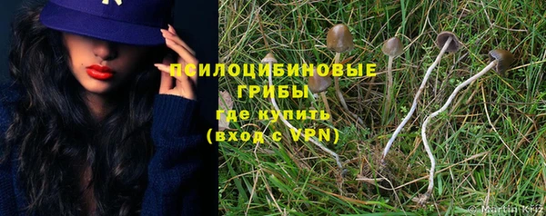 герыч Каменка