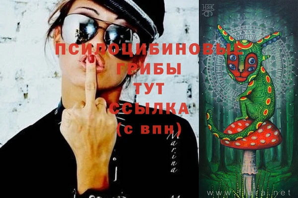 COCAINE Каменск-Шахтинский