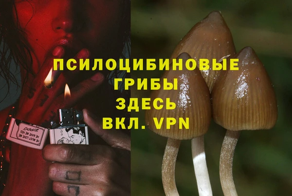 герыч Каменка