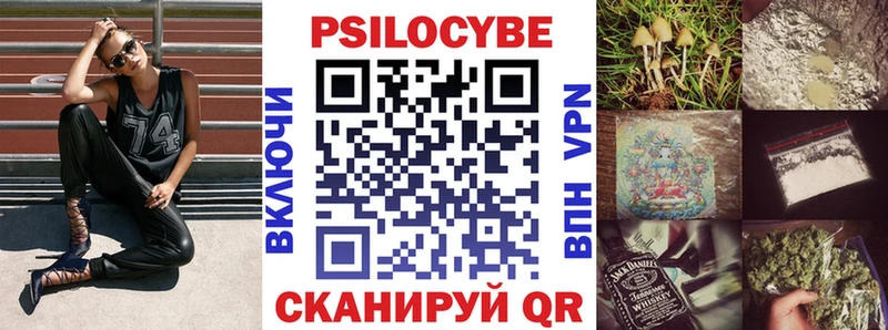 Купить где  Ершов  Галлюциногенные грибы MAGIC MUSHROOMS 